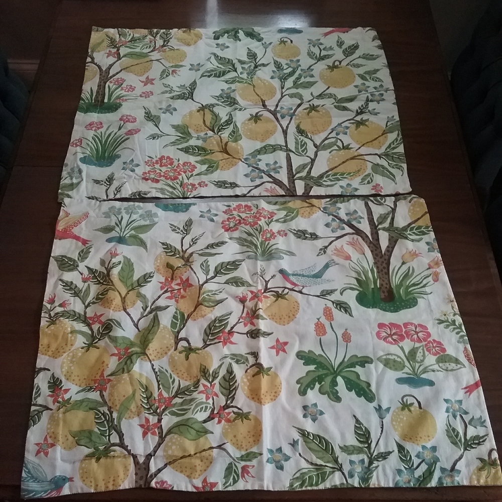 Pottery Barn lemon & bird pillow shams